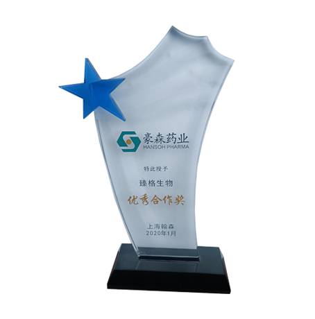 Hansoh Pharma's Excellence in Cooperation Award