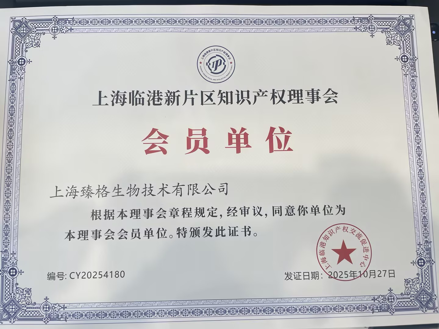 Members of the Lingang Intellectual Property Council in 2025