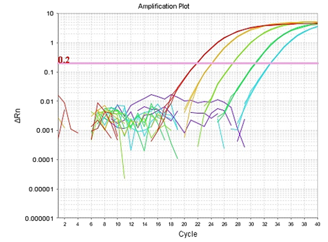 qPCR amplification plot from the miRNA assay: ΔRn against cycle number with the 0.2 threshold line