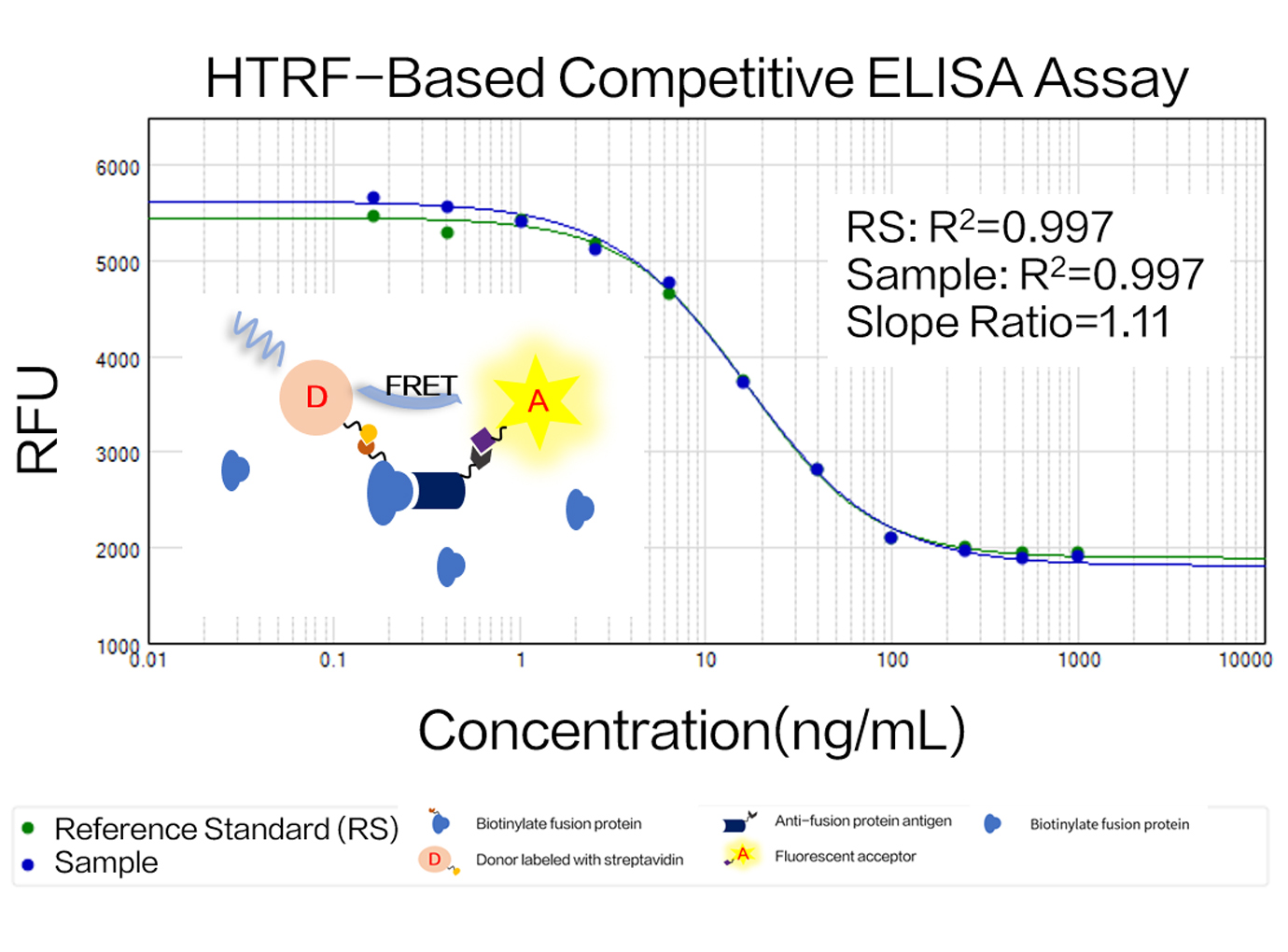 Development of a binding activity assay for a fusion protein lacking an IgG Fc fragment
