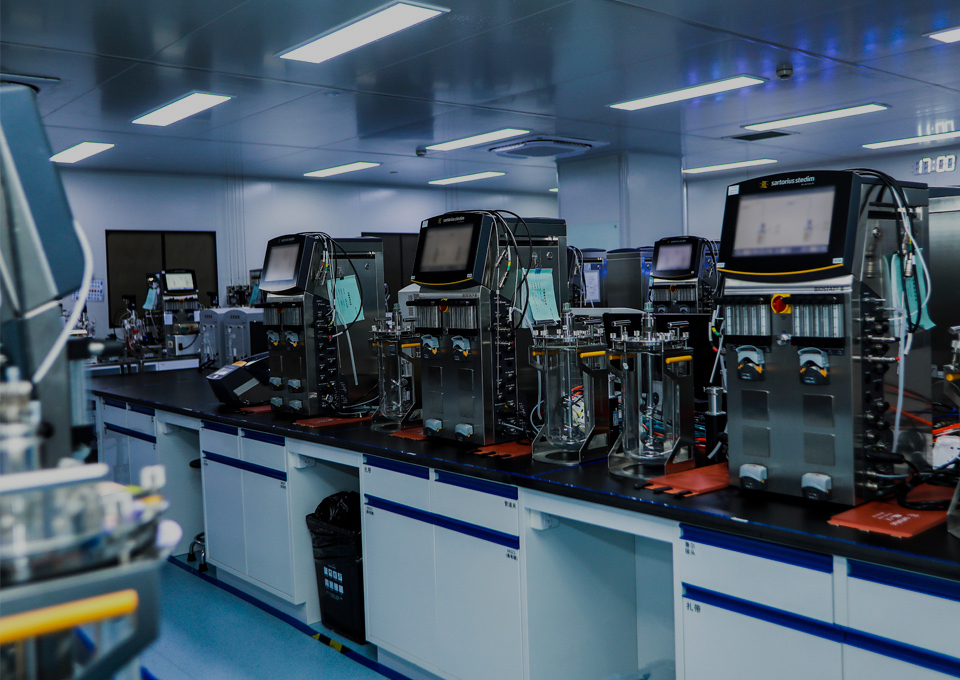 Analysts performing sample preparation in the laboratory
