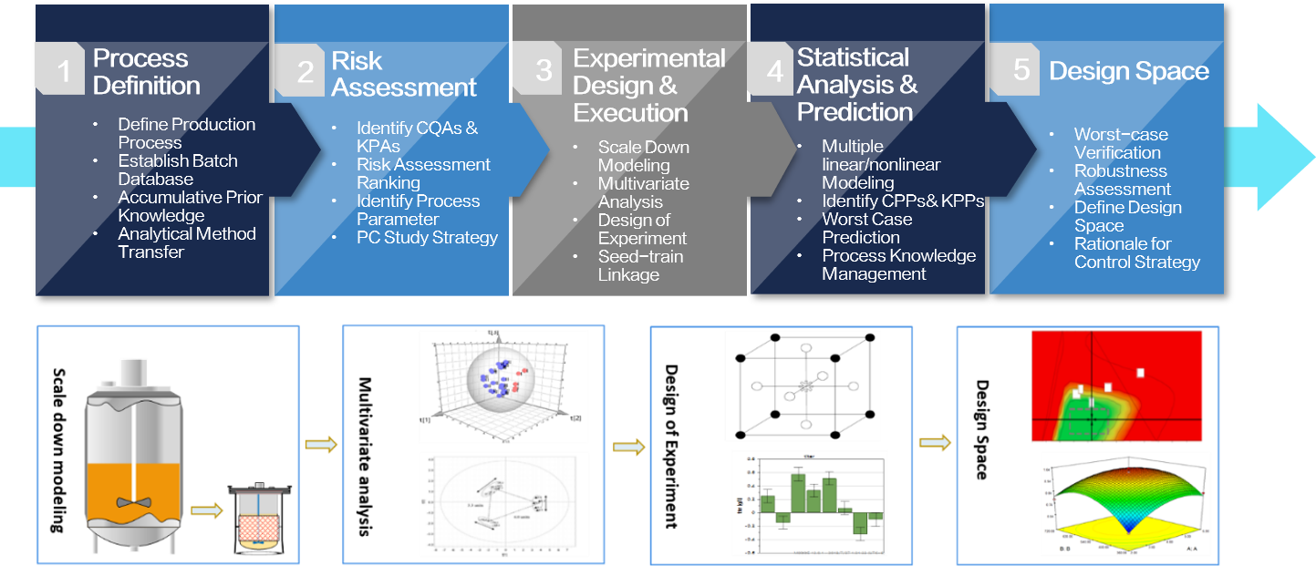 Process characterization workflow: process definition - risk assessment - design of experiments and execution - statistical analysis and prediction - design space