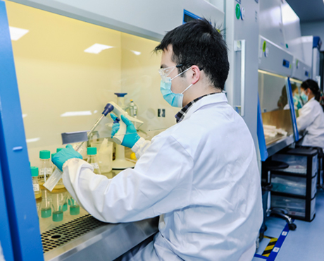 Zencore Biologics upstream process development laboratory